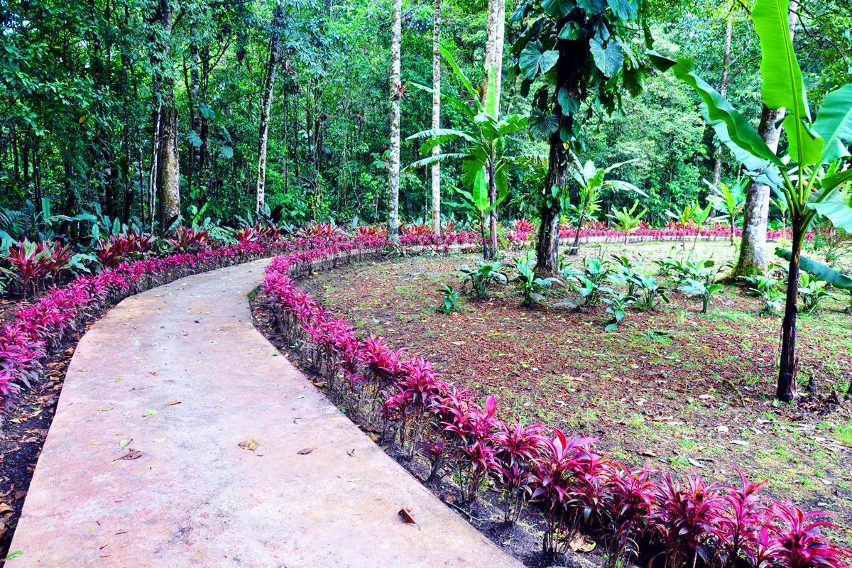 Hosteria Finca El Pigual Puyo Luaran gambar